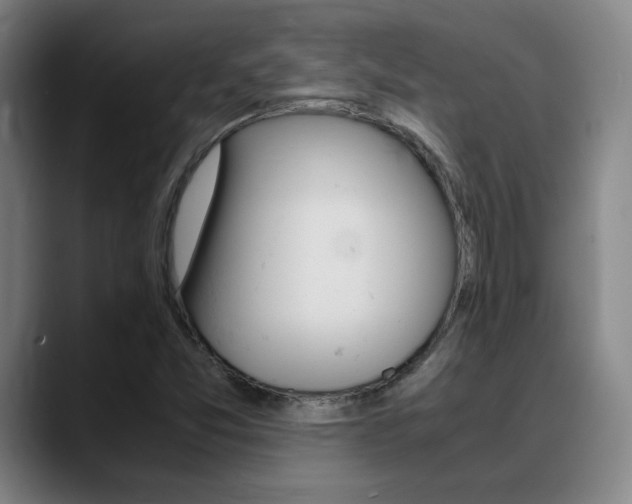 X0000089371357200706150835