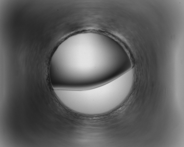X0000089371359200706150835