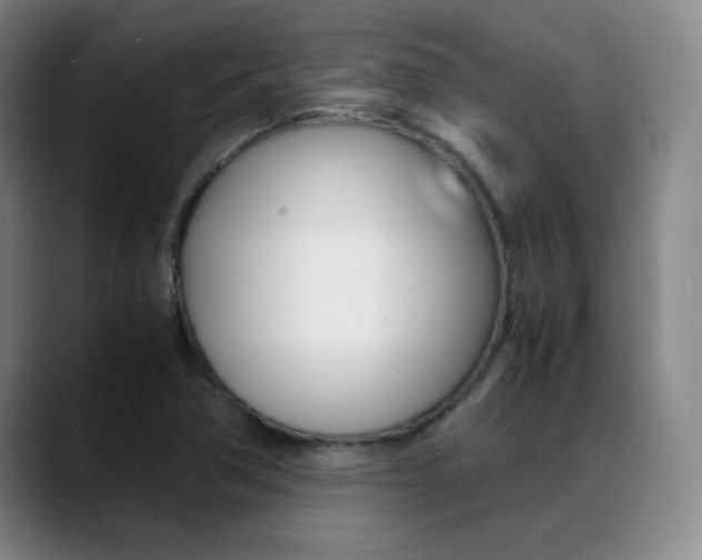 X0000089371362200706150835