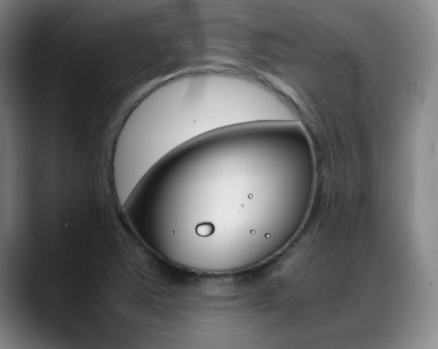 X0000089371363200706150835