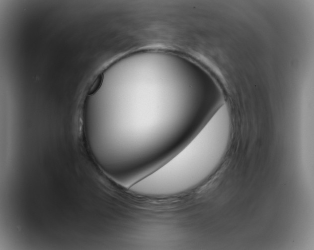 X0000089371367200706150835