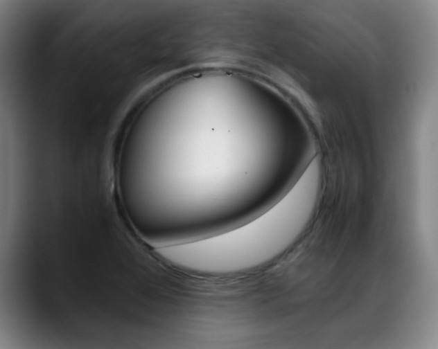 X0000089371368200706150835
