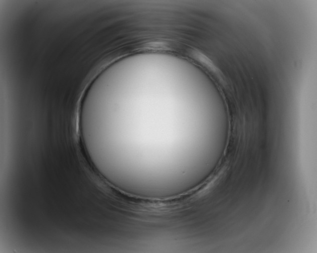 X0000089371370200706150835
