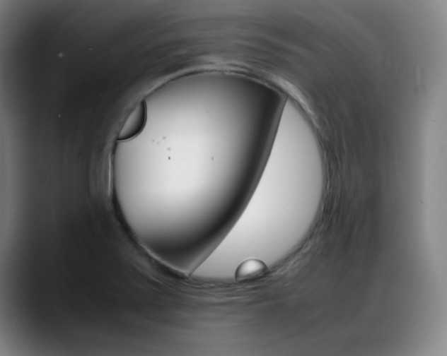 X0000089371371200706150835
