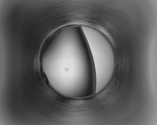 X0000089371372200706150835