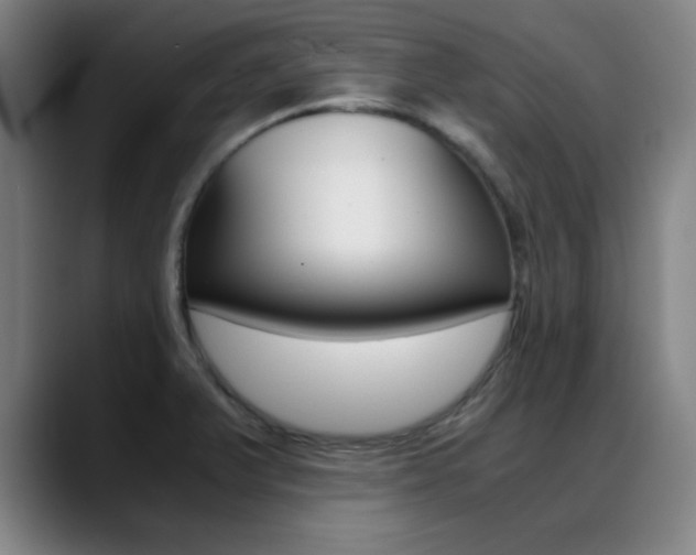 X0000089371375200706150834