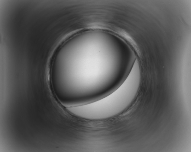 X0000089371376200706150834