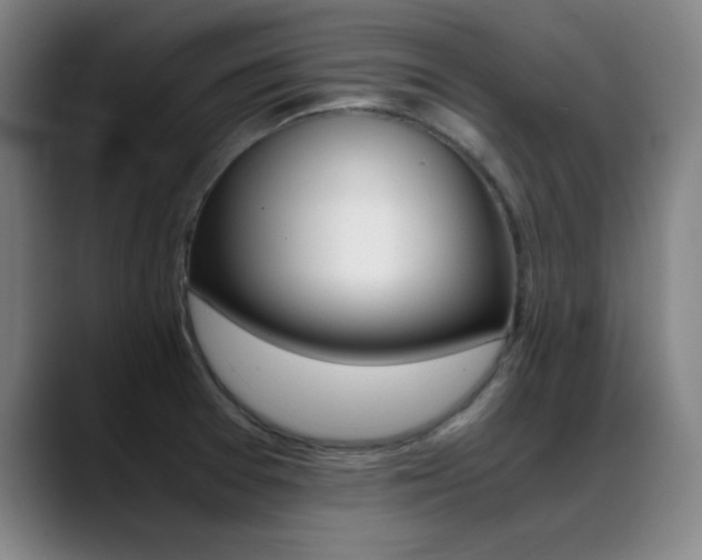 X0000089371377200706150834