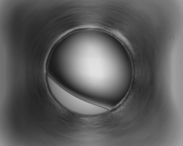X0000089371380200706150834