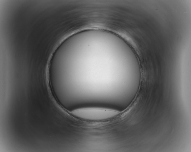 X0000089371382200706150834
