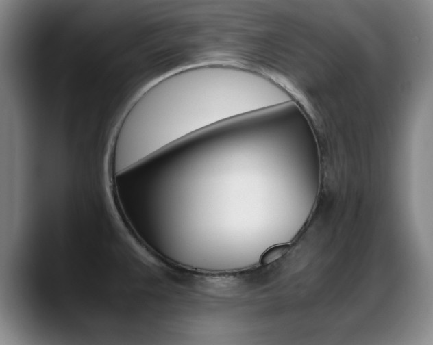 X0000089371383200706150834