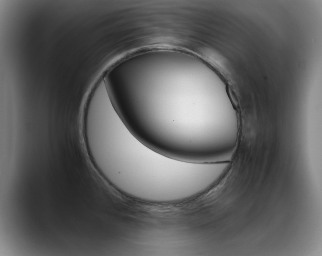 X0000089371384200706150834