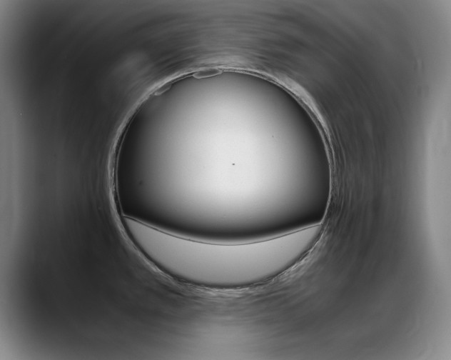 X0000089371389200706150834
