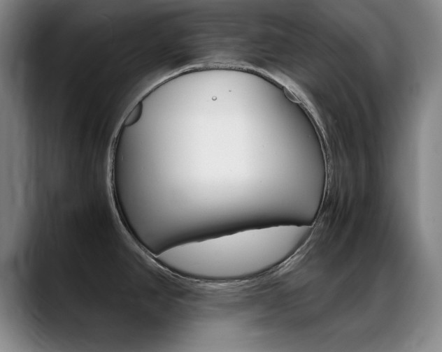 X0000089371390200706150834
