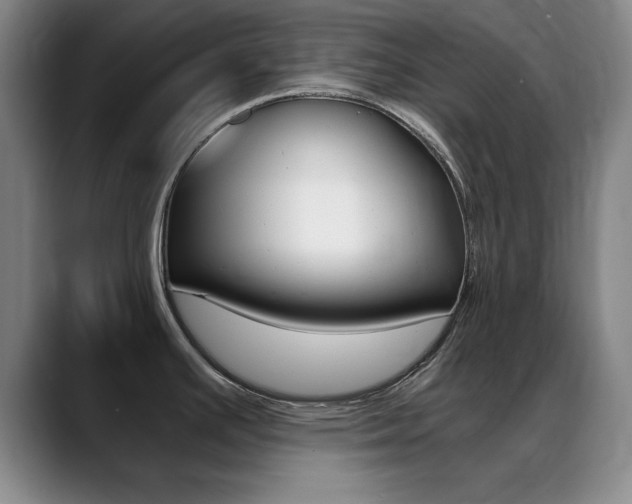 X0000089371391200706150834