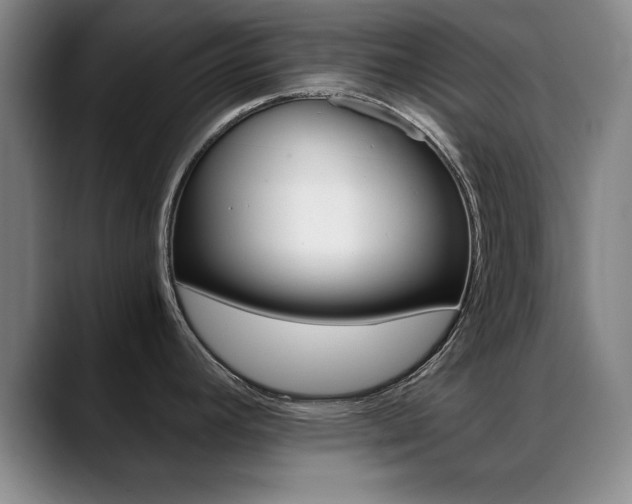 X0000089371392200706150834
