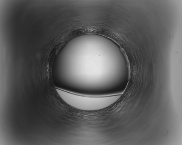 X0000089371394200706150834