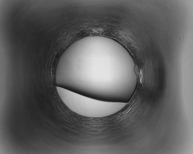 X0000089371395200706150834