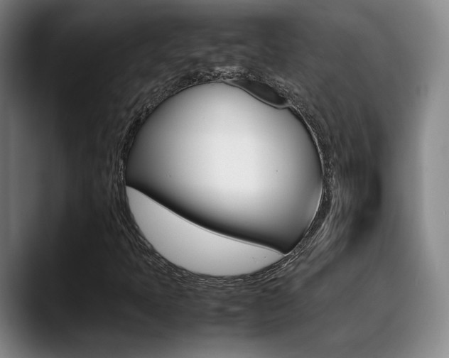 X0000089371397200706150834