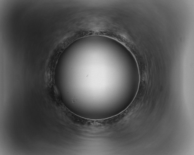 X0000089371398200706150834