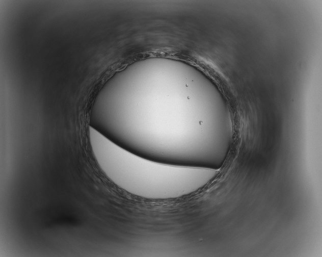 X0000089371399200706150834