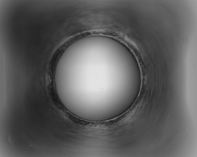 X0000089371400200706150834