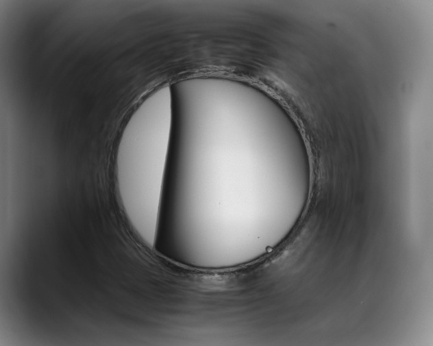 X0000089371401200706150834