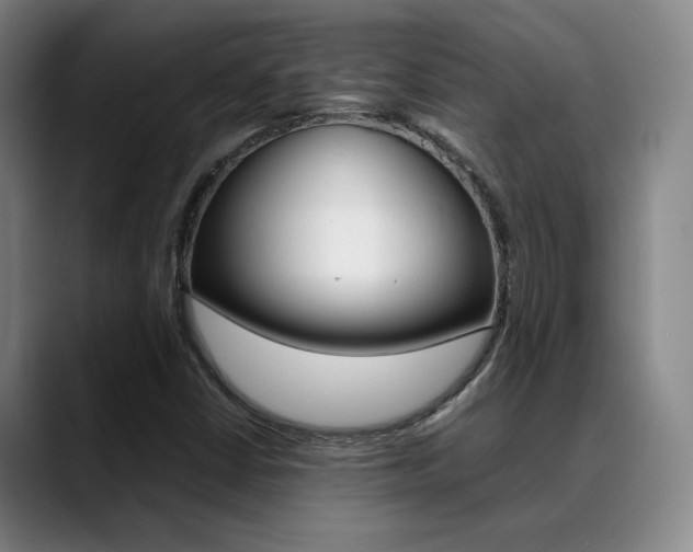 X0000089371402200706150834