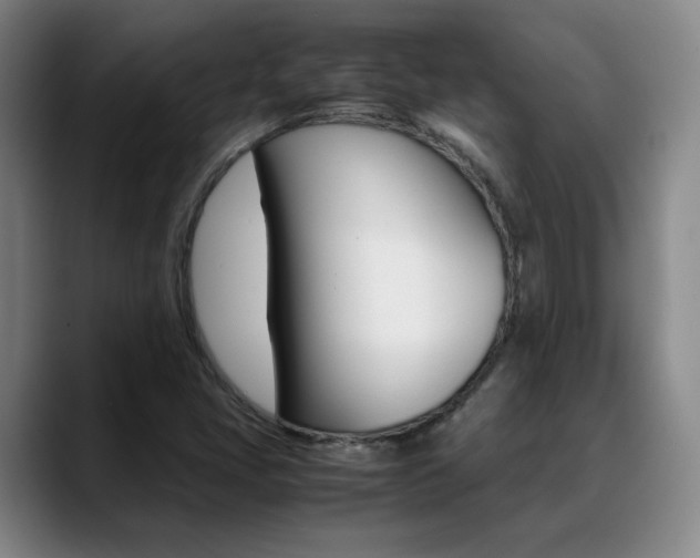 X0000089371405200706150834