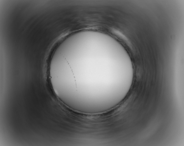 X0000089371411200706150834
