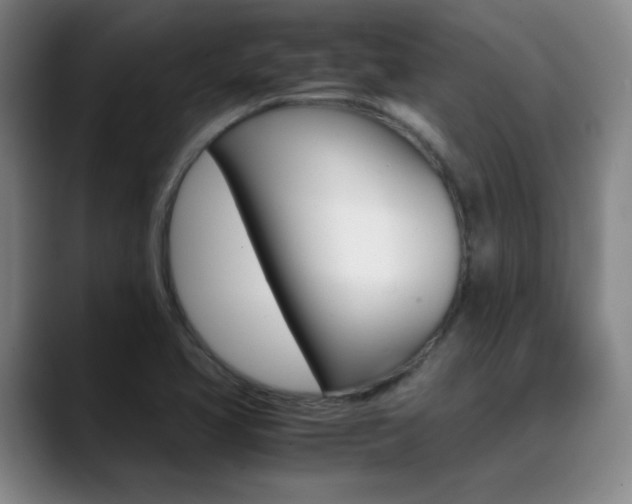 X0000089371413200706150834