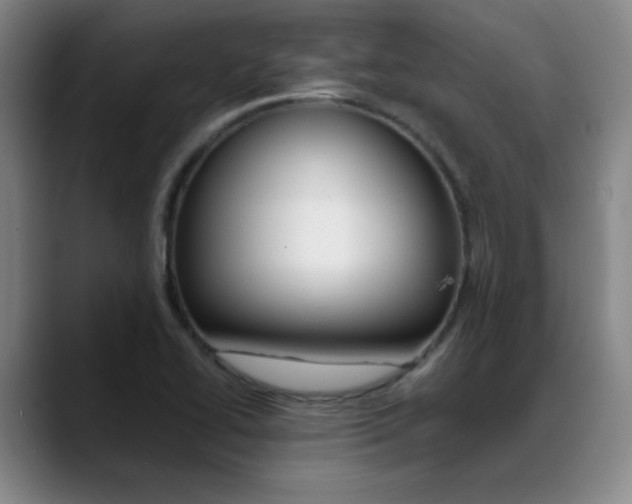X0000089371414200706150834