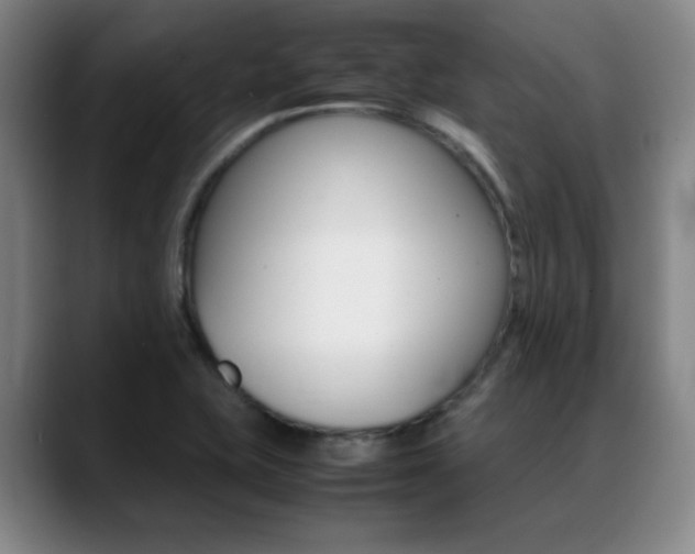 X0000089371415200706150834