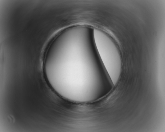 X0000089371416200706150834