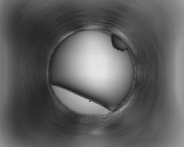 X0000089371417200706150834