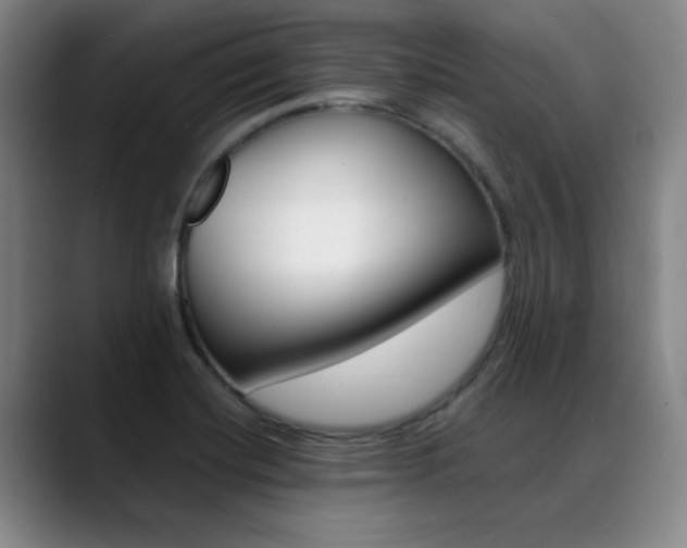 X0000089371420200706150834