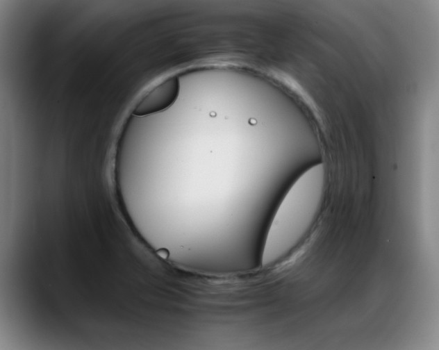 X0000089371421200706150834