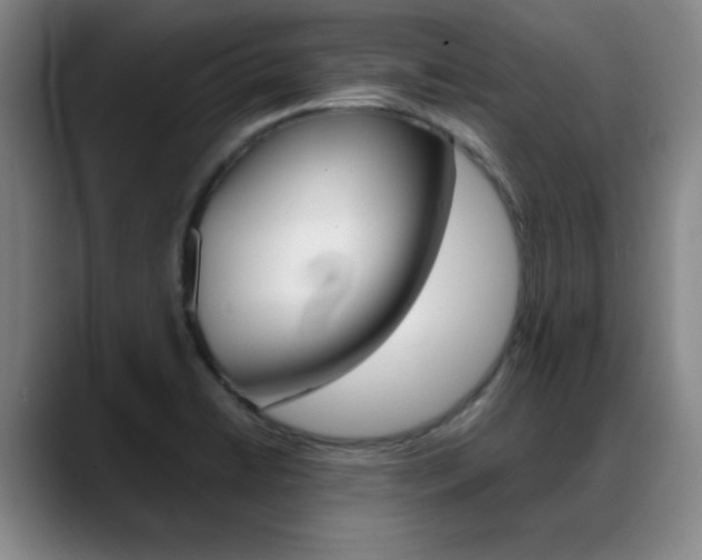 X0000089371422200706150834