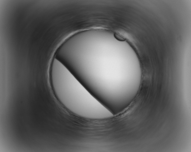 X0000089371423200706150834