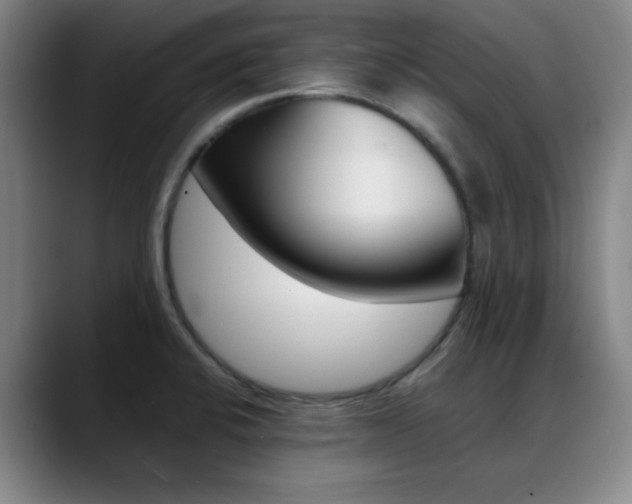 X0000089371424200706150834