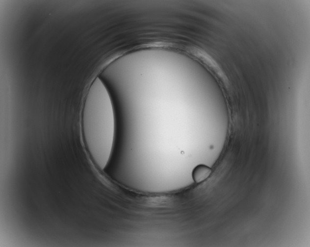 X0000089371425200706150834