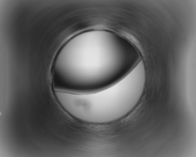 X0000089371428200706150834