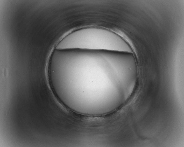 X0000089371429200706150834
