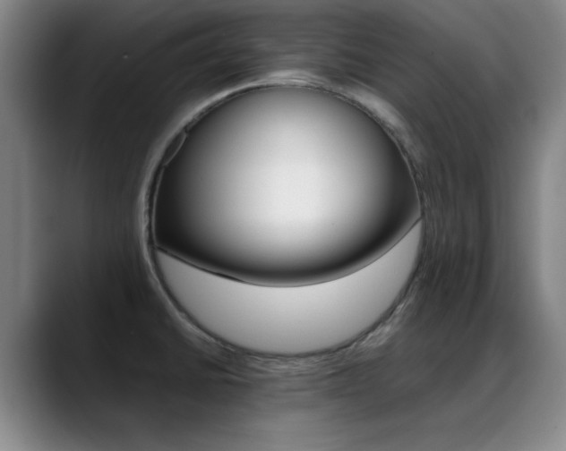 X0000089371430200706150834