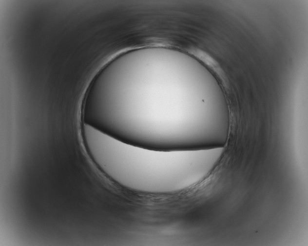 X0000089371431200706150834