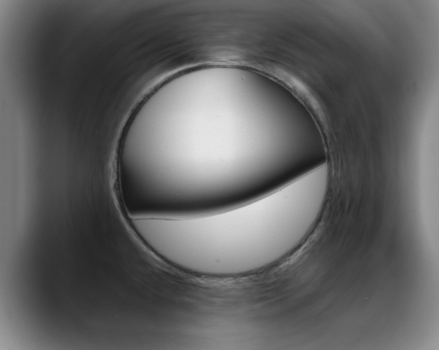 X0000089371432200706150834