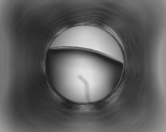 X0000089371433200706150834