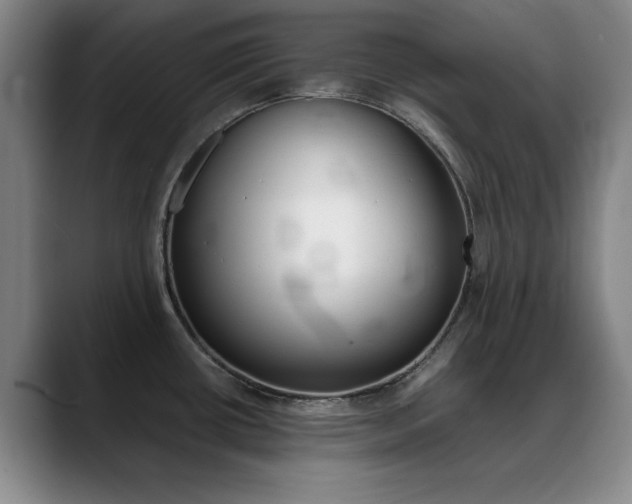 X0000089371434200706150834