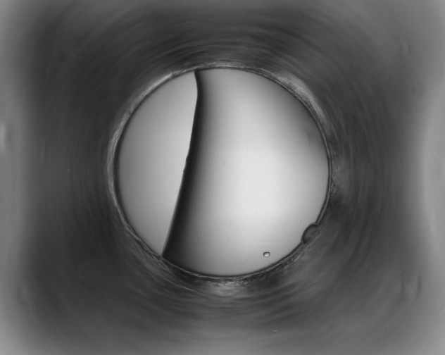 X0000089371435200706150834