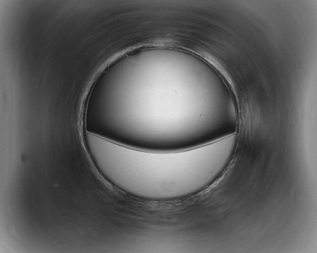 X0000089371437200706150834